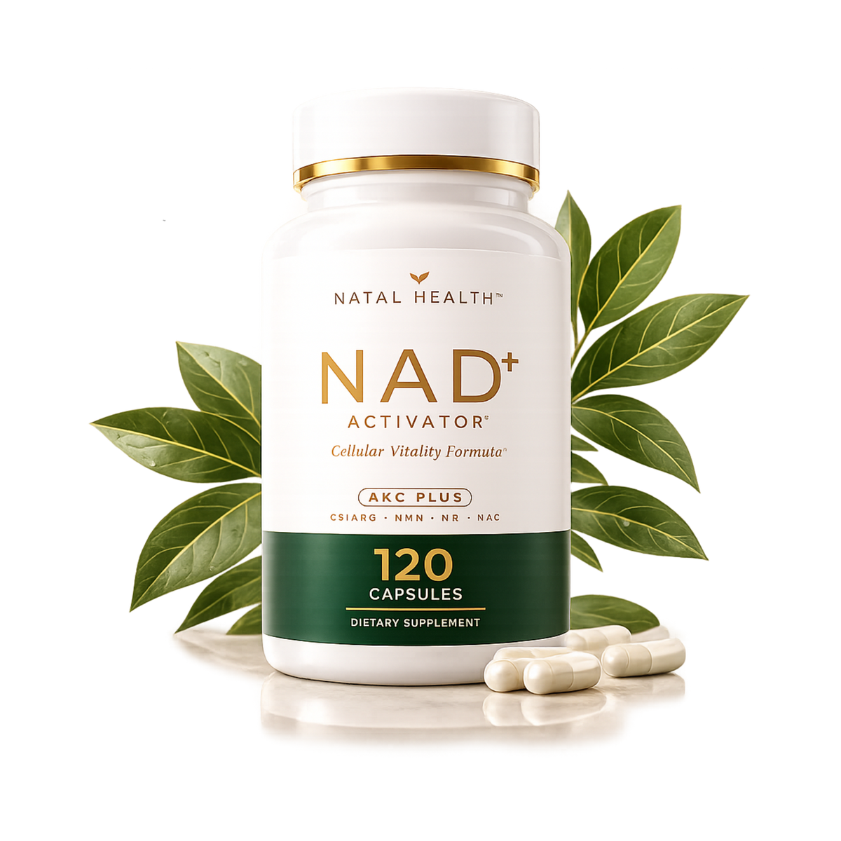 NAD+ ACTIVATOR: AKG PLUS — Cellular Vitality Formula (1 BOTTLE)